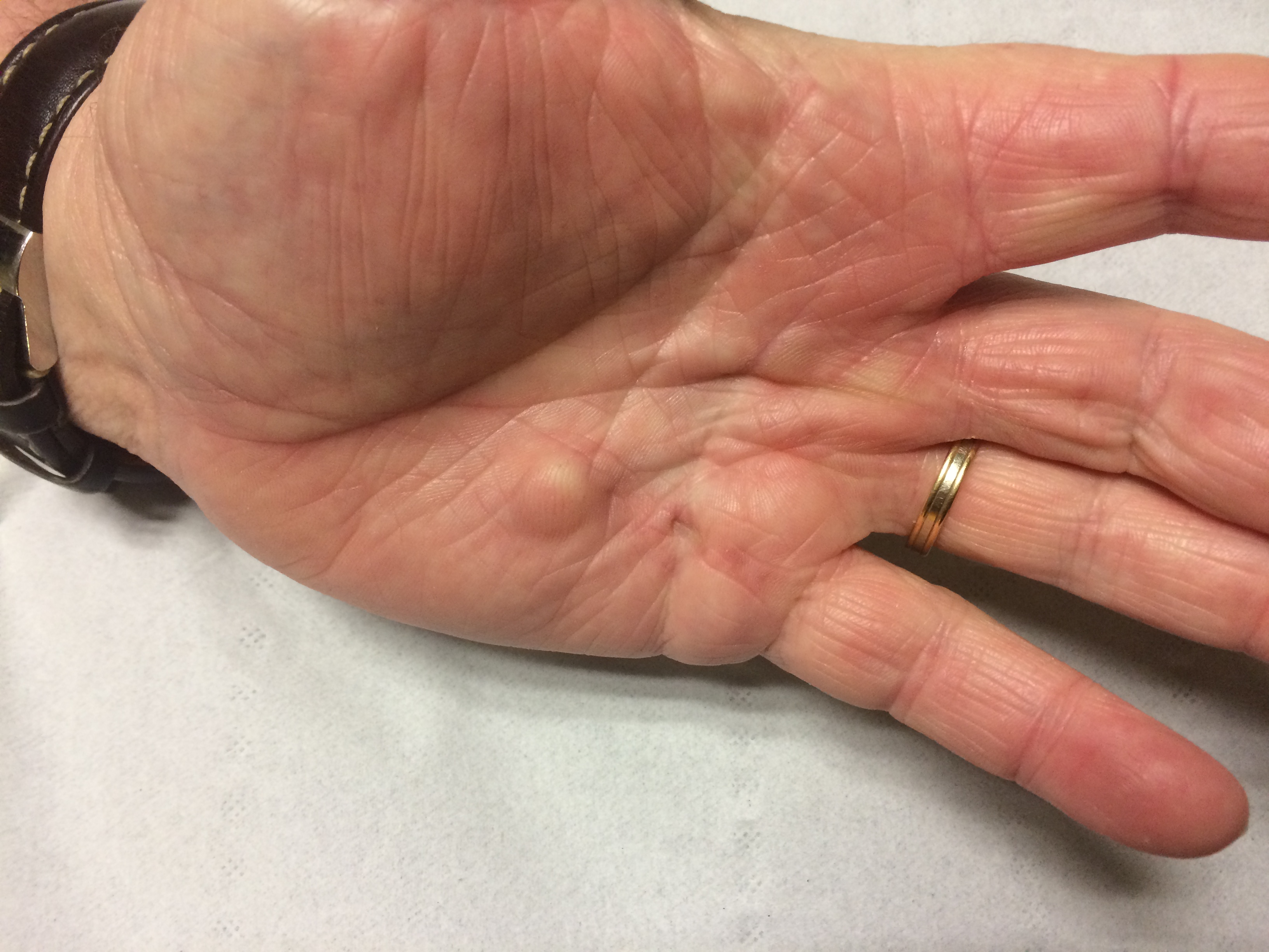 <span class="base64" title='PHNwYW4gY2xhc3M9J3NwaXBfZG9jdW1lbnRfNzQgc3BpcF9kb2N1bWVudHMgc3BpcF9kb2N1bWVudHNfY2VudGVyJyA+IAo8aW1nIHNyYz0nSU1HL2pwZy9JTUdfOTg2OS5qcGcnIHdpZHRoPSIzMjY0IiBoZWlnaHQ9IjI0NDgiIGFsdD0iJmx0O3NwYW4gY2xhc3M9JnF1b3Q7YmFzZTY0JnF1b3Q7IHRpdGxlPSdQSE53WVc0Z1kyeGhjM005SjNOd2FYQmZaRzlqZFcxbGJuUmZOelFnYzNCcGNGOWtiMk4xYldWdWRITWdjM0JwY0Y5a2IyTjFiV1Z1ZEhOZlkyVnVkR1Z5SnlBK0lBbzhhVzFuSUhOeVl6MG5TVTFITDJwd1p5OUpUVWRmT1RnMk9TNXFjR2NuSUhkcFpIUm9QU0l6TWpZMElpQm9aV2xuYUhROUlqSTBORGdpSUdGc2REMGlKbXgwTzNOd1lXNGdZMnhoYzNNOUpuRjFiM1E3WW1GelpUWTBKbkYxYjNRN0lIUnBkR3hsUFNkUVNFNTNXVmMwWjFreWVHaGpNMDA1U2pOT2QyRllRbVphUnpscVpGY3hiR0p1VW1aT2VsRm5Zek5DY0dOR09XdGlNazR4WWxkV2RXUklUV2RqTTBKd1kwWTVhMkl5VGpGaVYxWjFaRWhPWmxreVZuVmtSMVo1U25sQkswbEJiemhoVnpGdVNVaE9lVmw2TUc1VFZURklUREp3ZDFwNU9VcFVWV1JtVDFSbk1rOVROWEZqUjJOdVNVaGtjRnBJVW05UVUwbDZUV3BaTUVscFFtOWFWMnh1WVVoUk9VbHFTVEJPUkdkcFNVZEdjMlJFTUdsS2JYZ3dUek5PZDFsWE5HZFpNbmhvWXpOTk9VcHVSakZpTTFFM1dXMUdlbHBVV1RCS2JrWXhZak5STjBsSVVuQmtSM2hzVUZOa1VWTkZOVE5YVm1Nd1dqRnJlV1ZIYUdwTk1EQTFVMnBPVDJReVJsbFJiVnBoVW5wc2NWcEdZM2hpUjBwMVZXMWFUMlZzUm01WmVrNURZMGRPUjA5WGRHbE5helI0V1d4a1YyUlhVa2xVVjJScVRUQktkMWt3V1RWaE1rbDVWR3BHYVZZeFdqRmFSV2hQV214cmVWWnVWbXRTTVZvMVUyNXNRa3N3YkVKaWVtaG9WbnBHZFZOVmFFOWxWbXcyVFVjMVZGWlVSa2xVUkVwM1pERndOVTlWY0ZWV1YxSnRWREZTYmsxck9WUk9XRVpxVWpKT2RWTlZhR3RqUm5CSlZXMDVVVlV3YkRaVVYzQmFUVVZzY0ZGdE9XRldNbmgxV1ZWb1VrOVZiSEZUVkVKUFVrZGtjRk5WWkVkak1sSkZUVWRzUzJKWVozZFVlazVQWkRGc1dFNUhaRnBOYm1odldYcE9UazlWY0hWU2FrWnBUVEZGTTFkWE1VZGxiSEJWVjFSQ1MySnJXWGhaYWs1U1RqQnNTVlZ1UW10U00yaHpWVVpPYTFWV1RrWk9WRTVZVm0xTmQxZHFSbkpsVjFaSVlVZHdUazFFUVRGVk1uQlBWREpSZVZKc2JGSmlWbkJvVlc1d2MyTldjRWRaTTJocFVqQndNVlpYTVdGVU1sWnpVbTAxV21Wck5VUlpNR1JQVWpBNVdHUkhiRTVoZWxJMFYxZDRhMVl5VWxoVmEyeFZWakpTY1ZSVVFrdGtNV3QzVjFSV2FFMXJiRFZXUjNCSFlWWlplRmRxUm1GU1YyaFFWMjE0Y21WV1duVldiWFJUVFZadk1WVXlOWE5SYTNOM1lrVkthV1Z0YUc5V2JuQkhaRlpPVm1GRk9XeFdiWGN5VkZWak1WWkdXbFZTYTJ4VlVrVndNMXBFUm5kT1ZUbFdZMFpXVjFZeFNuUldSRVpUWW1zeGNrOVdVazlYUlZweFZXcEtUMlJXVGxaaFIzUnFVbTVDU2xaWE1EVlZWbFYzWWtSYVZWWXpRbUZVVlZaelkwWkdkRTlYUmxkTmJtZ3hWMVpXYjFWck9WWmlTRVpVVmtWS1VGVnJaR3RqUms1V1drVmthazFzU2taVVZXUnpVekpLV1ZvelpGVmxhelZRV2tSR2MxZEZOVWhhUm5CT1ltMW9kbGRZY0U5VWF6bFdZMGhXVTJGclduQlVWRVpHVFRGa1dFMVZaR3hpU0VKV1ZqRlNRMU15U25KWFdHaGFZV3MxVTFScVFuTlRWbFoxVVcxMFUwMHlhSHBXVlZwUFlURldWMVJyV2s5V1JUVlpWbTB4VG1ReFpIRlNia3BzVmpGYVNWbFZaSGRVYXpGRlVWUkdWazF1UWxCV1JFcFNaVlpLYzJKR1NtbFdia0p2VmxjMWQyTXlUbGRqUldSYVRUSm9jRlZxUW5kTlZscFlUVmRHVlUxc1ducFZiVEF4VjIxV2NrNVZVbHBOUjFKUVZXcEJOVmRIVWtoaVJUVm9aV3hKTUZZeFpEUmhNVmw1Vld4b1ZtRXllRlpXYWtwVFkxWlNWVkZyZEd0TlYzUXpWakZTVjJGRk1YSmlSRlpYVWpOQ1NGbFdXbHBsUm1SeFVtMUdVMVl5YUZGV01qRTBZMjFXVjFkdVZsZGlXRkpVVkZaYWRrMVdWWGxPV0U1U1lUTk9NMWxyVmt0aFYxWjBZVWM1VjJKdVFraGFSbHBQVm0xR1JrOVhlRmRpV0dONVZrWldhazFXV2tkWGJGWlRZVEo0VmxWclZuZE5NWEJGVW01a1QxWlViRmRaTUZwWFZqRlplRk51VWxkU1JWcFVXVzF6ZUdOck9WZFZhemxZVWxad2VGWlhjRXRVTWxKWFZHeGFhRkl6VW5GVmJUVkRVMnhhV0UxRVZsWldiRll6V1d0U1lWWldXWHBSYlVaVlZsWmFlbGt3V2tka1JUbFlVbXhrVG1KdFozaFdNVnBYWWpGV2NrOVdXbWxUUlZwVlZtdFdTMVZHVm5KYVIzUnFVbXMxVjFkclZtdGhhekZ6VTJ0YVZWWlhVbnBWZWtwTFYxWnZlbHBHVm14aGVsWlJWMnRTUjJNeFpFWk9WV2hoVW01Q1QxbHRNVzlrYkdSWlkwVTVWV0Y2YkZkWk1HaFhWVEpHY2xkdVFsVldSVnBIVkZSR2ExZEZNVlphUjNocFUwVktWMVpxUmxOUk1VMTVVMjVLV0ZkSGFHRlpWM014VlRGU2NWRnVUbFJXYkZveFZWY3hNRlV3TUhsaFNIQlhWbFp3VUZsVVJsZFdNVkp5VjJzNVYxSlVWbHBXYlRCNFZHMVJlRnBJUmxOaWEzQnpWbXBHWVZOV2JGWmFTR1JWWVhwR1JsVldVa2RXYXpGMVVXeENWMUpGY0ZOYVZscExZekpLUjFOdGJGZGlhMHAyVm14ak1XUXlUWGxVYkdScVVsZFNZVlJVU205alJsWnhVVzVrVGxac2NGbFVWbVJIVmxVeGMxZHVjRlppVkVGNFZqSXhWMk5yTlZaVmJIQk9VakZLVVZaWGNFSk9WbVJJVld0b2FWSlVWbTlhVjNoS1RVWlplRnBFVW1oTlZtdzFWbGQ0YjFadFJYbGxSbHBYWVd0d1ZGa3hXbE5XVmtaeVpFZDBUbFl6VVhwV2FrWlRWakpHUmsxWVNtbFNSbHBZVldwT1ExTkdiRmRYYkhCc1VtMVNlRlZ0TVVkVk1WbDVZVVpHVjAxcVJUQlpNakZYVmpGa2RWWnNaR2xYUmtwVlZrWmFZV1JyTVZkV1dHeFBWMFUxVTFsVVRrOU5NV3h5Vm10MGFGWXhXakJaVldNMVZqSktkVkZyYUdGU2JIQlFWbTB4UjFKck9WaGxSbVJwVjBkT05WWnJXbGRoYXpGWFYydGtXR0pHV2xSWlZFbzBWbXhXY2xadVpFNU5XRUpHVlcwMWExUXhXbFZpUm1SYVRVWndXRlpxUmxwbFJrNTFWV3hrVTFKV2NGVlhWekY2WlVkT2NrOVdaRlpoZW14WlZXeGFkMlZHV2xoalJYUlZUV3hLV0ZaSGVHRmhSa2w2Vlc1R1ZtSlVWa1JWTW5oaFYwVXhSVlpzV2xkaVJsbDZWMWQwVTFsV1dsZFhXSEJTWWxWYVZsWnNXbUZsYkd0M1YydGthMUpVYkZsVmJYaHJWRzFLZEZvemFGZE5WbkJZV1dwR1YyTnJPVmRYYld4VVVsWndWbFp0ZEZkVE1WWkhWbTVLWVZJelVuRlZiWE14VmpGa2NsWnRkR2hoZWtaNlZUSjBZVlpXV2xoVmJuQldaV3R3VEZZeFduWmxiSEJIVm0xNGFHVnNXbEpXTW5SVFVqSk5lRnBGV2s5V1YyaG9WVzAxUTFReGJIUk5WemxyWWtkU1dsa3dWVFZXVjBZMllrWmtXazFIYUZoV1ZFcEhZMnhrZFZGc1ZsZFNWbkJJVmtaU1IyRXhaRVpOVmxwaFVqTm9jRlV3Vmt0V01WcHhVbXhPVWsxVk1UVlZNalZMVjBaa1NHRkhSbHBXTTAxNFZsUkdVMk5XUm5WVWJGSlhZa1p2ZUZaV1kzaE5SbFYzVFVoc2FGTklRbGhXYkZwM1ZVWnNWVkpzWkZkTlZrcDVWakp6TlZZeFNsVldiSEJYWWxSQ05GWkhNVkpsUm5CSlVteE9hV0V6UW5wV2JYQkhXVlpPVjJKR1dtRlRSMUpXV1Zod1IxSnNWbGRWYTJSWFlYcEdNVlZYZUVOV01VcEdZMFpPWVZac2NFeFpla3BMVWpGT2RHSkdaR2xoTUhBeVZtMTRhazFYVVhsVVdHeFZZa2RTY1ZWc1pGTlpWbEpWVTIwNWFsSnNXbmhWVnpWclZHeGFjMk5HYkZWV2JWSklWbXhWZUdNeFpIVmpSbHBwVmtWR05GWnFTWGhXTWs1eVRsWmFWbUpJUWs5VmFrWkxWVlphV0dORlNrOVdiVkpKVmxkMGIyRldTbFZXYlRsaFZqTm9TMVJWV2xwbFJuQkZWVzFvVGxadGR6RldiR1EwWWpGYWRGSlliR3hTYkhCWVdWZDBkMVpHYTNoWGJFNVhWbXRhZVZwRlpEQlViRmw2VlZod1YyRnJXbFJXYWtwSFVtc3hXVk50YkZOU2JIQlpWbGR3VDFFeFRrZGlSbVJZWWtoQ2MxVnRNVk5sUmxaMFRWVmtWazFXYkRWWlZWcEhWakF4Y1ZKVVFscE5ha1pZVm1wR2EyUldXbk5hUjJ4WVVtdHdWbFpyV21GWlYxSnlUVlprVjFkSGVGQldNRlV4VlRGc1ZWUnJPVTVOVjNoNVZtMTBNR0ZHV1hoWGFrSmFWbGROTVZacVNrdGtWa1p5WVVkR1UySklRbEZXYlRCNFVqRktjazlXYUd4U2JWSndWakJrVDA1V1duSlhiR1JvWVhwR1dGWXlkR3RYUjBwSFYyeFNXbFpGYnpCV2JYaFhZMnhhZFZwRk5VNVhSVXBIVmxjd01XRXhVWGhYYkZacFVtMVNZVlJWV25kWFJscHhVbXh3YkZKck5URldWM2hyVlRGS1YyTkdWbGhXZWtZMldsVmtUMk5yT1ZkYVJscG9aVzE0V2xaWGVHRmtNbFpIVjJ4b2FsSllVbFpVVjNoTFYwWmFTR1ZIUm1oU2EydzJWbGMxUjFadFNsVldhMUpXVFc1b2FGWXdWWGhTVmxwelYyeGthVkpzYkRaV01XUXdWVEZzVjFkc1pGaFhTRUpUV1d4V1lWWnNXbk5YYlVac1lrZDBNMVl5ZEd0aE1VcFZZa1pzVm1KWWFISldSekZMWkVadmVtRkdaRTVXYmtKWlYxZHdSMVl5VG5KUFZtUllZbGQ0VlZWc1duZFdiRnAwWkVaa1ZFMVdXa2hXYlRWTFdWWkplbFZ1UmxaaVdFMTRWbXBHYTJOc1duUmtSMmhvWld0YU5sWlVTakJaVmxwWFYyeG9WbUp1UWxkYVYzUjNWRVpaZUZkdVdteGlTRUpJVm0weE5HRkhWbk5YYkVwWFRXNVNWRlZxU2s1bFJuQkdWMnM1VjFZeWFHOVdWekF4VVRGUmVHSklVazVXZW14eVdXdGtVMWRzYTNkV1ZGWlhWakJaTWxscldtdFhhekZJWVVab1YxWkZjRWhaTW5oclpGWkdjMVpzWkZOV2JrSkpWbXRhVTFJeVJYaGFSVnBPVm14d2FGVnFUbTlqUmxWM1ZtdDBWMDFXY0hoVmJYaFBWV3N4VmsxVVZsWk5hbFpNVmpCYWExTkhSa2hTYkhCWFRUQXhORlpzVWtkVk1rNVhVbTVXVldKR1NsaFphMXAyWlVaYVYxa3phRTVTYkZZelZGVm9jMkZHVGtsUmJHaFhZa1p3TTFaVlduTldWa3B6V2taa1RsWnJjRFZXYWtwNlRsWlplRk5zVmxkaVNFSllXV3hTUTA1R1draE5Wa3BzVW01Q1NsVnRlRTloVjBWNlVXNXdWMkpZUWtoWFZscFBWakpLUjFkdFJsUlNNVXBYVjFab2QxSXhTbk5XYkdSV1lUSlNXRmxZY0VkTlZsWllaVVZPVjAxVmNFZFpNRnBQV1ZaYWMyTkZlRnBsYTNCTVZXcEdUMlJIU2tkYVIyeG9UVWhCZVZadE1UUmhhekZZVlZoc1ZWZEhlRlpaYTJSVFkxWldjMXBHVGxwV2JFcFdWVEl3TldGc1NuTlhibWhXVm5wV2NsWkhlR0ZqTWs1SFlrWldWMkpXU2tsV2JYaFdaVWROZUZwSVZtcFNiSEJ3Vm10V1IwNUdXbkZUV0doWFRXczFlVlJzV21GV2JVcEpVV3M1Vm1GcldreFdWbHBoVjBkT1JsTnJPVmRpVmtwS1ZteGtNR0l5UmxkVGJGWlhZbFJzYUZacVRtOVRNVkpXVjJ4d2JGSnVRa1pXVnpGdlZHeGFkR1I2UmxkaVIxRXdXV3BHWVdSR1NsbGlSM2hUWWtoQ1dWZFdaREJrTVZwSFlUTm9XR0pGTlZoV2JYUmhaVlp3UmxwRVFsVmlSbXcyVmxab2QxWXlSbkpYYkZKWFlXdHdTRlZ0YzNoWFZrNTBZa1pPVTJKSVFscFdiR1IzVkRGRmVGUnJaR2xTYlZKWldXdG9RMk14Vm5STlZrNXNVbXhhTUZSV1ZtdFdhekZYWWtSV1dsWldjRWhXYWtGNFkxWktWVkZzY0U1aGExcFpWbTF3UjJFeVVsZFhiazVoVWpKNFdWVnRkSGRXYkZweVYyMUdXbFl4U25sVVZscHJWakZrU0dWR1FsZE5SbFY0VmxSR2MxWldVbkpQVlRWT1ZqTm9OVlp0TVRCTlIwWkhWMWhvV0dGclNtRldiR1JPVFZaYWNWTnJkR3RXYTFwNVdWVmtSMVV5U2tsUmJFWlhZbFJDTkZWcVJrdGphemxYWVVkNFUySldTbmRXYWtKclZEQTFWMWR1U2xoaVIxSnZXVmh3UjFkR1dYbGtSM1JZVWpCd1NGWXllRk5YYkZwR1lucENWMkpZYUZoWk1uaGhaRlp3Ums1Vk5WaFNWWEJJVm14amQwMVhSWGhWV0doWVlrWmFjRlZ0TVZOWlZsSldWMjVrV0ZKc2NIaFZiWGgzWWtaS2NrNVVSbGRXTTJoeVZsUkdTMVl5VGtkV2JHaFhaV3RaTWxkc1ZtdFVNazV5VDFaa1lWSnNjRzlhVnpFMFYyeGFXR1ZIUm10TmJGcElWako0YjJGc1NsbFZiRnBWVmpOb1RGWXdXbUZUUjFaSVVtMW9VMkV5ZHpKV2JHTXhVakZhZEZOc1ZsZGhNVXBYVkZjMWIyRkdXWGRXV0doVFZteHdlbFl5ZUd0aFZrcHpZa1JhVjAxWFVYZFdWRVp6VmpGa2MxcEdhRmhUUlVwVVYxZDRWMWxXV25OWGJrNVlZbFZhYzFsclpEQk5NVmw1WkVkMGFFMVZjRlpaYTFwelZtMUtXV0ZJU2xkU2VrWk1Xa1ZhZG1WdFJrZGFSVFZYWW10S1dsWXhaSGRTTVZsNVZHNUtVRlp0VWxsWmJHUTBWbFpXYzFkdVpGZGlSbkF3V2tWYWExWkZNVmRYYTJoWFlsUldURmRXV2twbGJGWjFVbXhhYVZkRk1UUldiWEJIWVRKT2MxZHVVbXRTTW1odldsZDBZVTVzV2xWVGFrSmFWbXh3V0ZZeWVHOVdiVXAxVVd4a1lWWXpVak5XUlZwYVpVWmtkVmR0ZUdsVFJVcEpWbTB3ZUU1SFJraFdiazVZWWtWd1dGUlhOVk5XUmxaeFUyczFiRkp1UWtkV01uTTFWakZaZVdGSE9WZFdla0Y0VlZSR1VtVkhTa2xWYXpWWFpXMTRlVmRYZEd0Vk1XUnpZVE5rVjFaR1dsaFdha0phVFd4c2NsZHRkRmhoZWtaSldWVmFiMVl4V2taalJXaGFUVzVvY2xwR1drZGpNVnB6V2taT1YySnJTa3BXYlhSaFZURkplVkpZYUdGU1ZuQlBWbTE0ZDJGR1ZuRlViVGxxVW14V00xWnRkREJXTURGWFkwaG9WbUpZYUZCV1YzTjRWbXN4VlZac1drNWhiRnBOVm1wQ1lXRXhUa2hTYTJoVFlraENXRlJVUVhoT1JscHpWV3RrVmsxck5WaFZiVFZYVmxkS1IxTnNhRnBoTVhBeVdsVmFZVll4YTNwaFJUVlRZa1paZWxaR1ZtOWpNa1pIVkd0c1VtSkhhRmhaYTFwM1RURmFWbGR1VGxoU1ZFWlhXa1ZrZDJGV1dsbFJhMmhYWWtkUk1GbHFTa2RXTVdSeVdrWm9hV0pZYUZsV2JYQlBWVEpTYzFkclZsUmlSVFZVVkZkMGQxTnNWWGxOVnpsV1RXdFdObFZYZUVkV01VcHpWMjVhV2xaRlJYaFpla1pyWTIxR1JrOVdaRTVOVlhCaFZqRmtNRmxYVW5KTldFNVlZa2RvVUZadGN6RlhWbFp4VVcxR2JGWnNTbnBXTW5NMVZqRlpkMWR1YkZaTmFsWXpWakp6ZUZJeVRrWmhSbkJPVm01Q1NWZHJWbXRTTVVsNVVtdGtWV0pYYUU5VVZWWlhUbFphZEUxWVpGUk5SRlpJVm0wMVUxWnNaRWhsUmxKYVlURndNMWt4V2xaa01XUnlaRWR3VGxac2NEVldiVEV3VFVaYWMxZHVUbFJpUm5CWFZtMTRTMU5HV2toak0yaFlVbXhhZWxsVldtOVhSazVHVTJ0V1YwMVdjRmRhVlZwclUwWldjbFpzWkdsV1ZuQlpWbTF3UjFNd01YTmFSbVJoVTBoQ2NsUlhlRWROTVZKWFZteGtWMDFyY0VoVk1qVkRWakpGZUdOSGFGWk5WbkJvVldwR2EyUkhVa2RWYld4WFlraEJNbFp0TUhoT1JsbDRZa1prVkdKc1dsTlpiWFJMVjBac2NsZHVaRTVpUmtwWldsVmFkMkpHV1hoWGEyaFhVak5vZGxsVlpGZGpiR1J5WVVab1YxSlZjREpXYlhCSFZtMVdWMU51VmxSaVIyaHdXVlJDZDFZeFduUmtSbVJhVm10c05GWlhlRmRWTWtZMllrWm9XbUpHV21oVk1GcGhVMFV4V1ZwR1drNVNSVnBZVjFSQ1YyUXhaRWhUYTJSWVltdHdWbGxVUm5kWFJscHhVbTFHV0ZZd2NFaFdiVEZ6WVZaS2RWRnNaRmRpVkVVd1ZtMXplRmRHU25KYVIyeFVVbXR3VUZadE1YcE5WbHBIVjI1R1VsZEhhRkJXYlhoTFYwWmtjbUZGT1ZkTlZYQjVXVEJvYzFZeVNraGhSRTVYWVd0YVRGWnFSazlqTVVaeldrWk9VMWRGU2xWV01uaFhZVEZOZUZOWWJGTmhNWEJSVm0xek1XTXhiRlZTYm1ScllrWndlVll5ZUU5Vk1ERldZMGhzVlZaWGFIWldiR1JMVTBkR1NWRnNXbWxTYkc5NlYxUktOR015VG5OWGJrcHJVak5TV0Zsc2FHNWxSbVJWVVcxd1QxWnNjRmhXTW5oWFZXMUdjazVXV2xwaE1YQk1WbFZhV21ReFpIUlNiWFJUWWtWd1lWWXlkR0ZWTVZKeVRWaFdhRk5IYUZoVVZ6VkRVa1p3UlZOc1RsTk5helZIVm0xNFMyRldTbFpqU0hCWFlsUkJlRlZVUVRGak1YQkpVMnhrYVZKVVZucFhWM2hoVXpBeFIxZHJaR2hUUjFKWFdXeFdkMWRXYkZaaFJVNVlZa1p3ZWxrd1VrOVpWa3B6WTBST1ZtSllhRmhhUm1SUFUwZEdSMXBHWkU1TmJXaE5WbTB4TkdGck1WZFNXR3hUVjBkb1ZWWXdhRU5pTVZWM1ZsUkdWMDFXV2pCWk0zQkhWa1V4V0dWSWNGaGhNVmwzVm10YVlXTXhaSE5YYkdob1RXeEplbFpyWkhwbFJrcDBWR3RzV0dKSGFGaGFWM1JoVG14YVYxVnJkRk5OYkVwSVZrYzFTMkZHU25KT1dFSmFZbGhTVEZwVldtdGpNWEJKV2taS1RtSkZjRWxYVmxKUFlqSkdSMU51VWxaaWEzQmhXV3RhZDFSR1ZuUmxTR1JUWWtoQ1NsWkhlRzloVmtsNFUydG9WMUl6YUhaV1JFWmhWMFpPYzJKR1NtbFNWRlpvVjFkMGExVXhWa2RYV0doWVlsVmFjbFp0TVZOTlJuQkdWMnM1VjFKcmNGWldiWEJIVmpBeGRWVnNhRnBXUlhCUFdrUkJlRlp0UmtkVmJXaE9ZbGRvV2xadE1UQmhNRFZIVld0a2FsSnRVbWhWYkZKelkwWnNjbFpVUms1U2JFcFlWMnRTUTFaWFNrWmpSbHBhVjBoQ1NGWnFRWGhqVmxwelVXeHdWMUpXY0UxV1ZFWmhWVEpPVjFSdVRtcFNNMmh2V2xkNFlWSnNXWGhYYkdSb1RWVXhOVlpIZEd0WlZrNUhVMnhDVjJGck5WUldhMXBXWkRGYVZWSnRkRTVXYkZrd1ZtMHhlazFXVVhoVGJHeFZZV3MxV0ZWdWNGZFRSbXhWVVZoa2JGSXdOVXBWYlhoWFZqRktWbU5GTVZoV00wSklXWHBLVTFOR1RuRlhiRXBwVWxad1dGWkdaSHBOVjFKWFZsaHNUbE5IYUc5VVZWSkhVakZSZUZWc1pGaFNNSEI1Vkd4b1MxWnRSWGxoUmtKVlZqTm9lbFJ0ZUZOamJGSjBZVVpPVGxORlNYcFdiWEJLWkRBeFdGSllhRlJoTW5oV1dXMTBTMVpXV25OYVJ6bFhVbTEwTTFkcldrOVdSa2w0VjJ0c1lWWldjRWhXYlhONFUwZFdSVkZzYUZkTk1Vb3lWbXhrZWsxSFZsZFZiR3hxVW10d2NGWnFTbTlrTVdSWFYyeGtWRTFyTlZoWmEyaExXVlpLV0ZWdVRscGlSbFYzVkZkNFUxWnNhM3BoUjJocFVqRktTVlpxU25kVE1XeFhVMnhrVkZkSFVtRldiWGgzWld4WmVGZHNUbXRTTVZwSFZERmtiMkZXU2xkaU0yUlhUVlpLU0ZscVJscGxWbFoxVld4YWFFMVdjSGhXUm1ONFZUSk9jMVp1UmxSaGF6VnlWRlprTkdWV1pISlhiVVpXVW14d1dsVldVa2RYUmxwR1kwaEtWbVZyY0V4V01GcFhWMVp3UjFack5VNWliV2gyVmpGb2QxTXhWWGhUYkdoVlYwaENXVmxzYUVOVU1WSldWbTVrYTJKSFVsbFVWbWhQVjJ4WmQyTkVRbGRXTTFKWVdWZHplR1JIVmtaa1JscFlVMFZLTVZkVVNqUlNiVlpZVkd0V1ZXSllVbkJXYkZKR1RXeGFWMWt6YUdsTmExcFpWVzAxUjFac1draGxSWGhoVm14YVNGcEZXbXRqVmxKelUyczVUbE5GU1hkWGJGWlRVVEZXU0Zac1ZtbFNSbkJoVkZWa1UxTkdjRWRXYm1SclVtNUNSbFZYZUVOaVJscFlaVWhXV0dFeFduSlpla0Y0VTBaT2NtRkdaRmRTTTJoTVYxWmFZV1F5Vm5OalJWcFdZV3RLYzFsc1ZURlRWbFowVGxaa1ZHSkZiRE5VYkdoM1YwWmFkR0ZHUW1GV00yaEVWbXRhYTJSWFJraGtSbVJzWWxoUmVsWnJhSGRUTVUxNVVtdG9WVmRIZUZoV2ExWjNWVVpXVlZKdVpFOVNia0pJVjFod1YxUnNTbFZoZWtaV1ZqTkNSRmxWV210U01VNTFZMFpvYVZKcldYcFhWekV3WkRBMVYxSnNhRTVXTUZwUFZGWldWbVZzVlhsTlNHaFBVbFJHUjFReFVsZFZSbVJKVVc1R1ZtRnJTbWhVVmxwUFpFVXhXR1JGTlZOV1IzTjRWbFJHYTJFeFVsaFdia1pXWVROb1YxVnNWWGROVm5CWVRWVTVWRkpyY0RGV2JYaEhXVmRXY1ZGVVZsUmliWGhEV1d4YWRtVnNWbFZhUlhScFYwZGtNMVpFVG5KT1YxWjBWR3RvVTJKc1dreFpiR1JTWkRGUmVtSkZjR0ZOYkVwSldXdFNRMkZXU1hoV1ZGWlVWako0YUZsNlNsTlNWMUpKWTBkd1UwMUdiM2hWTVZaclZESk5lR0pHYkZWaWJrSlNWbFJHZDA1R2NFZFplbFpPVWxSb05WVXlNVzloYXpGelZsaHNWV0V3TldoYVZXUlRWMFU1VlZGc1FteFdWV3d6VjFaYWIxVXlUWGhqUmxaT1VucFdURnBXVmtka1JtUnhWR3hLVDAxSVFqQmFWVkpEVlVkV1ZXSkVXbHBOUjFKSVdrWldkMlJHY0VWUmJFSnNWbGQ0ZFZaRmFIWk5SazE0VVd0U1VGZElRbkZWYWtKaFRWWldTRmw2YkZGVk1rNXVVMjB4YTAxRk9UVlhiazVyVWtoT01sbDZUa05oUjBwd1YyMDFhMUpJVG5CVFZXaFRZMGRTU0dWSGVGRlZNR3gwV1d0b1VrNHlUWHBSYldocFlWVktjVmxyWkVkbGJVNDJUVWN4YWxkR1dqSmFSVkl3WVZac1dWUnRlRTloYkVaMFdURm9WMlJ0VWtWak1tUnJVakozZDFsclpGWlBWWEExV1RKa1MySlhVWGRVTTJ4aFl6SlNSV016V21wTk1FcHZXVzFzWVdKdFVrVmpNbXhLVVhwbmNsRXljRE5rYlUxNlVXMW9hV0ZxVVRsS2VVRnRXak5STjBwdGVEQlBlVGw2WTBkR2RVcHRaREJQZVVsblpFZHNNR0pIVlRsSmFWcHpaRVIwZW1OSFJuVkpSMDV6V1ZoT2VsQlRXbmhrVnprd1R6SkthR015VlRKT1ExcDRaRmM1TUU5NVFqQmhXRkp6V2xRd2JrcDVRVzFhTTFFM1NtMTRNRTk1T1hwalIwWjFTbTFrTUU5NVNXZE1lalJMVUVNNWVtTkhSblZRWnowOUp5QW1aM1E3Sm14ME95OXpjR0Z1Sm1kME95SWdkR2wwYkdVOUlpWnNkRHR6Y0dGdUlHTnNZWE56UFNaeGRXOTBPMkpoYzJVMk5DWnhkVzkwT3lCMGFYUnNaVDBuSnlBbVozUTdKbXgwT3k5emNHRnVKbWQwT3lJZ0x6NEtQQzl6Y0dGdVBnPT0nICZndDsmbHQ7L3NwYW4mZ3Q7IiB0aXRsZT0iJmx0O3NwYW4gY2xhc3M9JnF1b3Q7YmFzZTY0JnF1b3Q7IHRpdGxlPScnICZndDsmbHQ7L3NwYW4mZ3Q7IiAvPgo8L3NwYW4+' ></span>